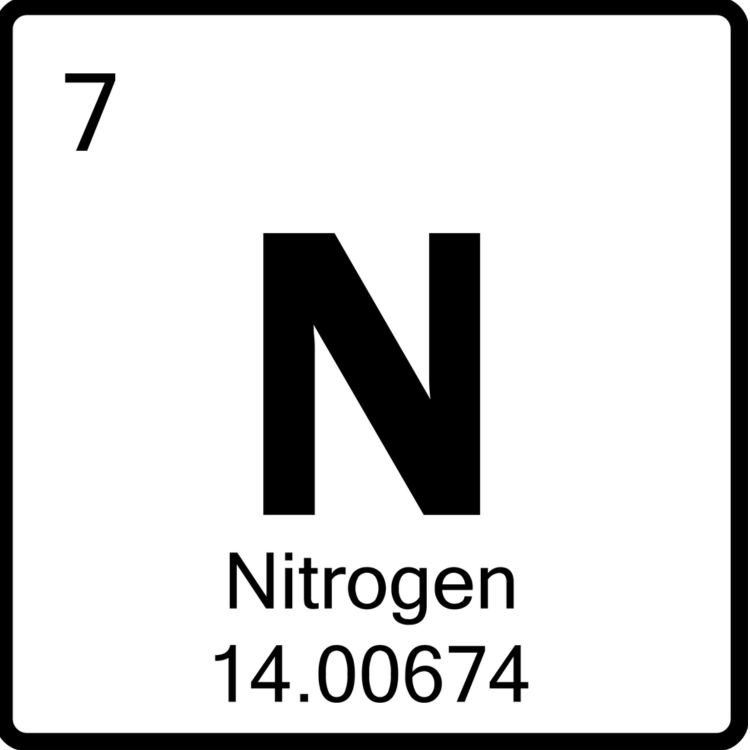 Nitrogen-Image-for-Blog.png Nitrogen-Image-for-Blog.png